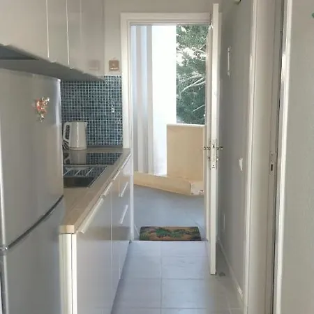 Casa M In