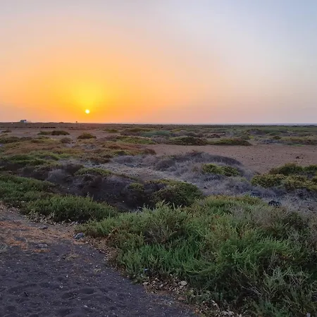 Apartment Casa M In *